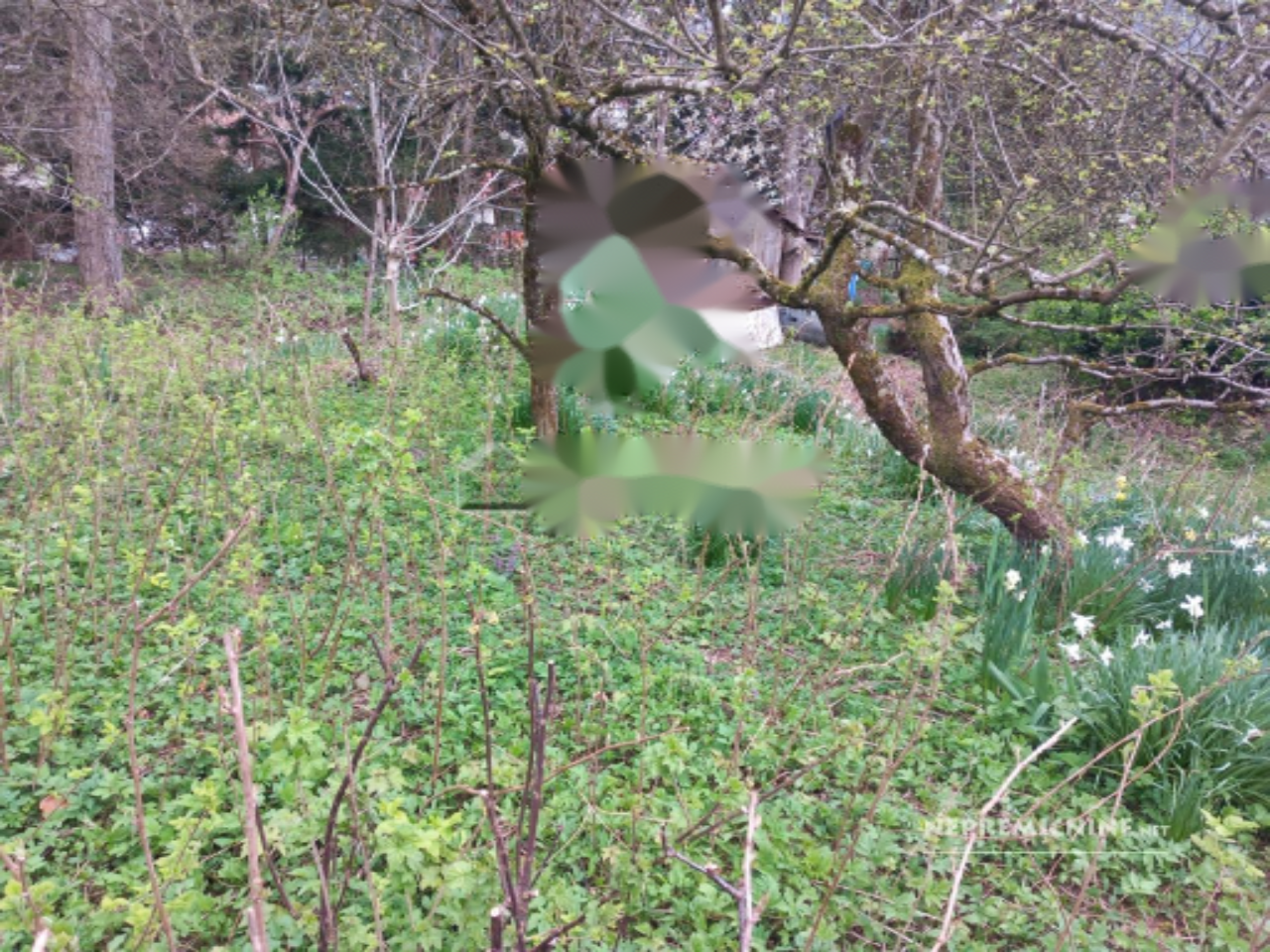 Земля в Любляне, Словения, 754 м² - фото 3