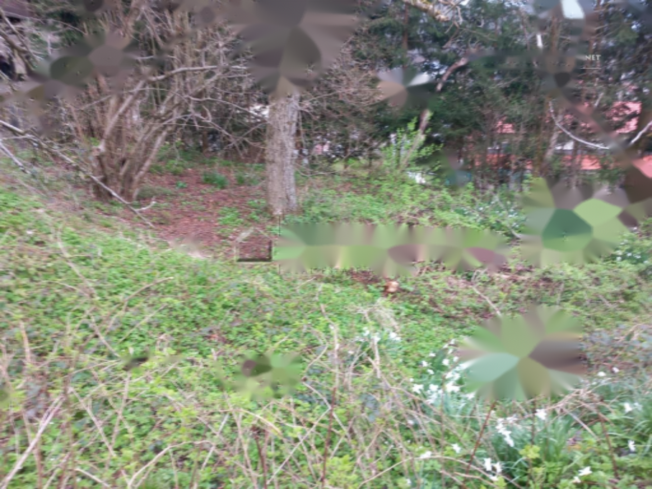 Земля в Любляне, Словения, 754 м² - фото 4