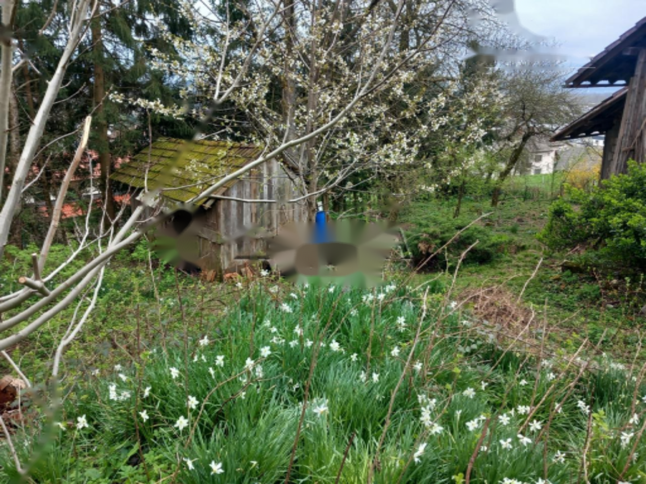 Земля в Любляне, Словения, 754 м² - фото 5