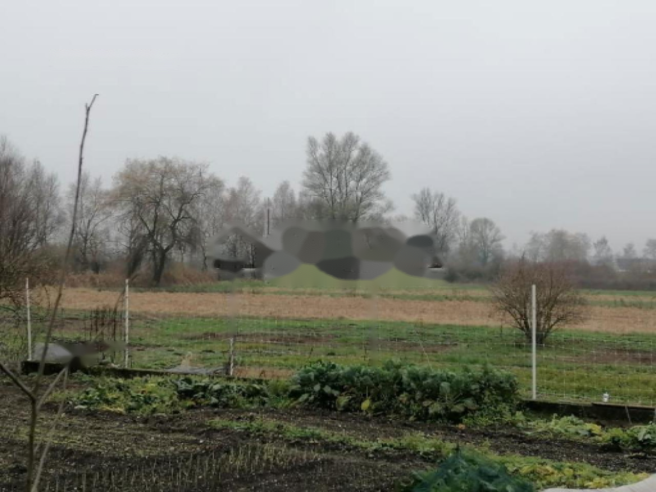 Земля в Любляне, Словения, 3 156 м² - фото 5