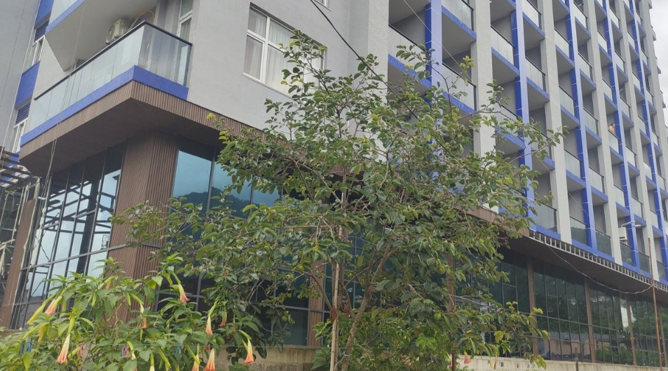 Квартира в Батуми, Грузия, 29.5 м² - фото 6