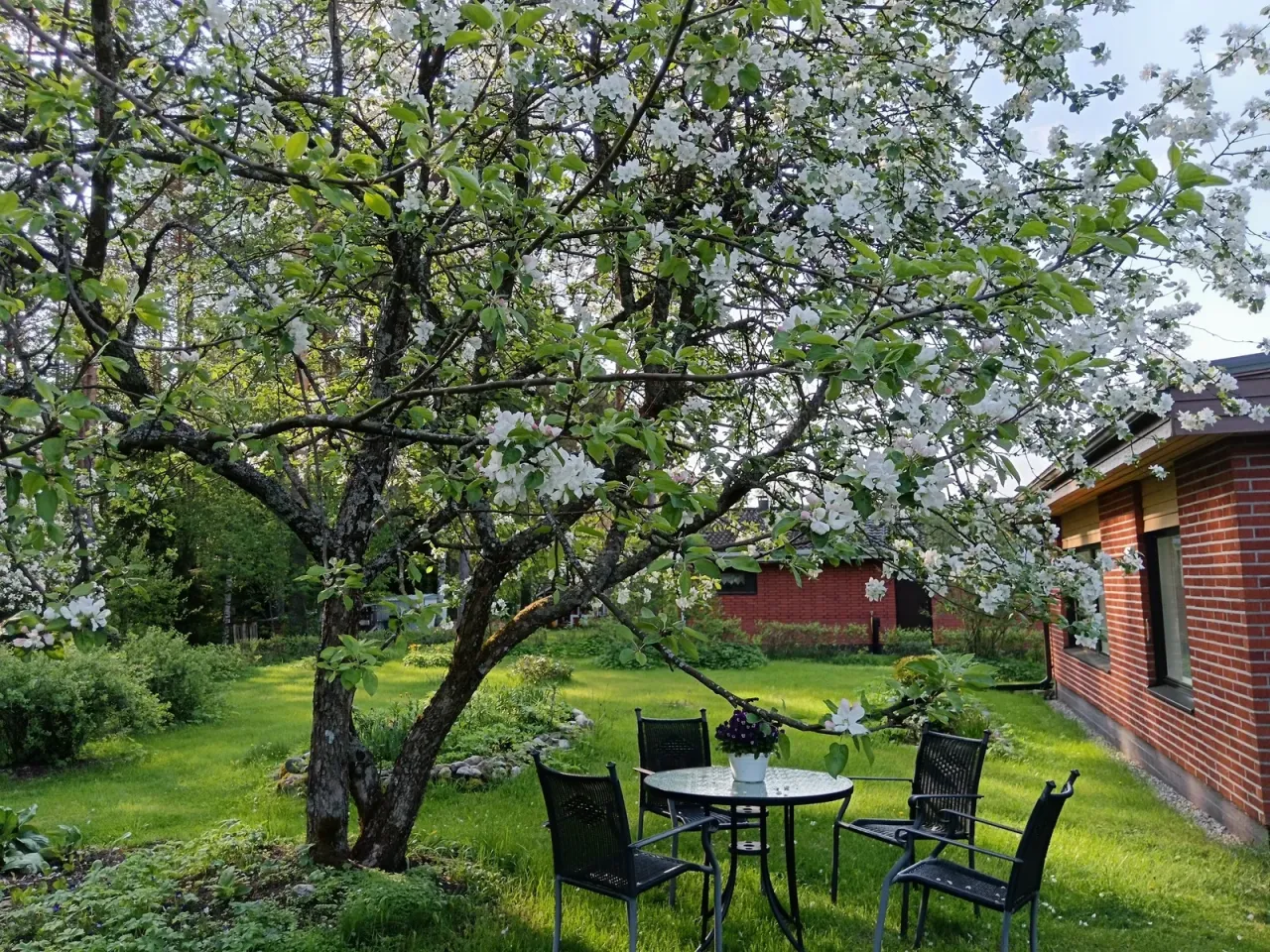 Дом в Лиекса, Финляндия, 100 м² - фото 1