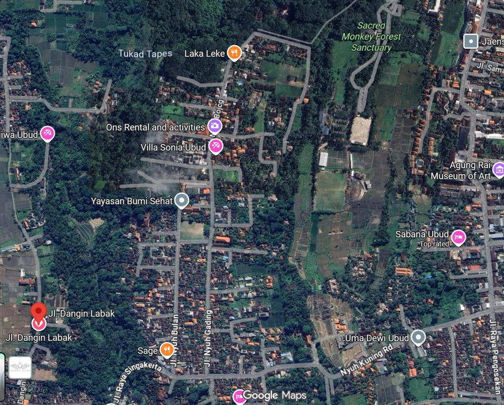 Земля в Убуде, Индонезия, 1 000 м² - фото 16