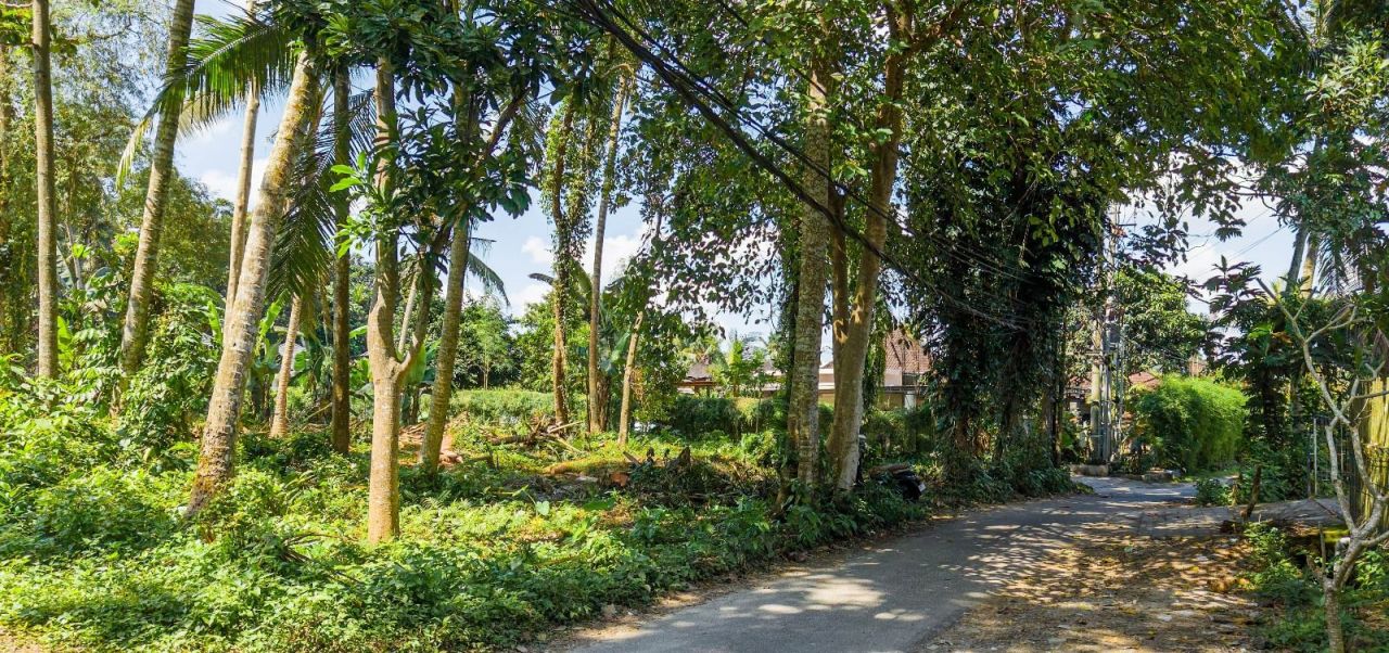 Земля в Убуде, Индонезия, 1 000 м² - фото 13