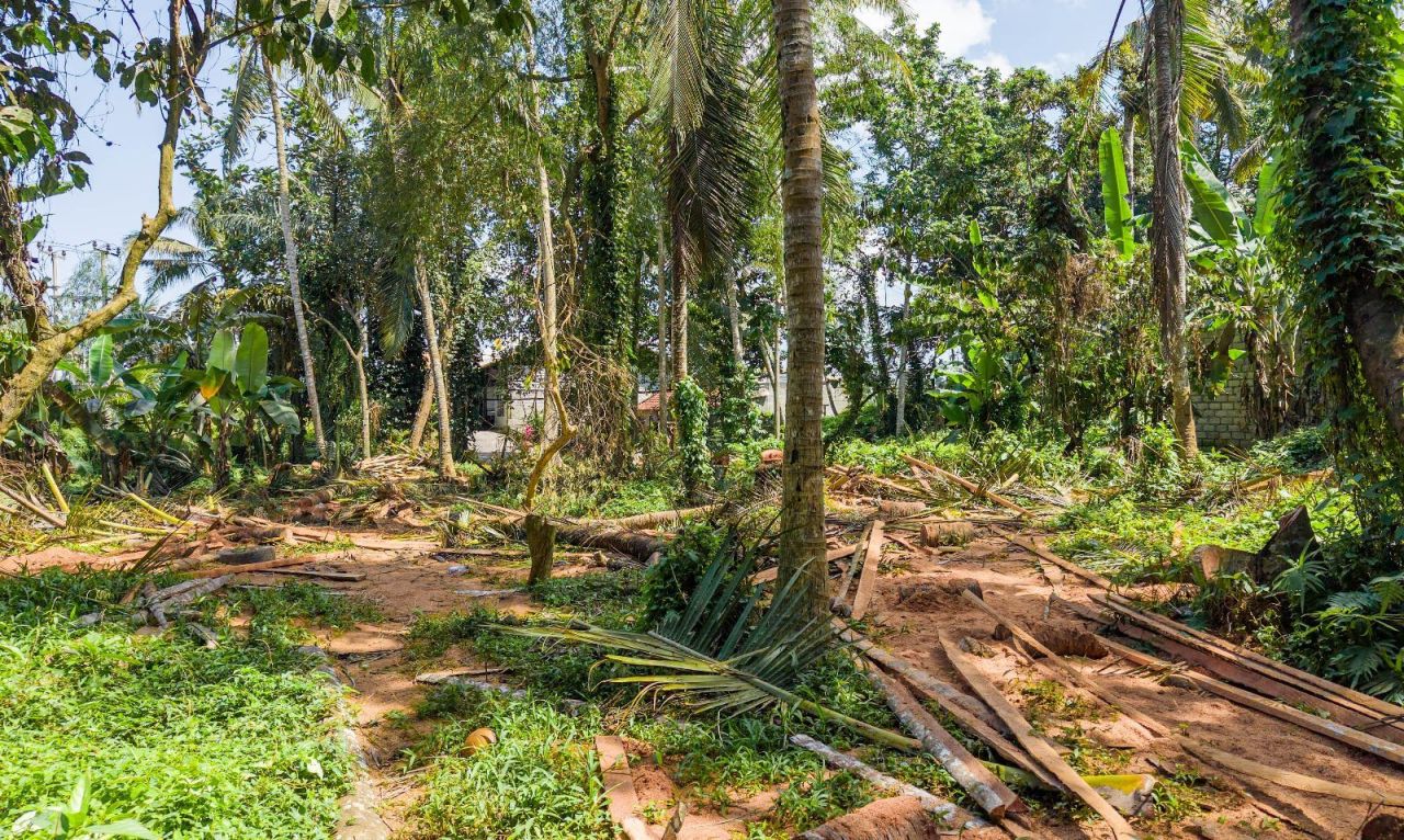 Земля в Убуде, Индонезия, 1 000 м² - фото 11