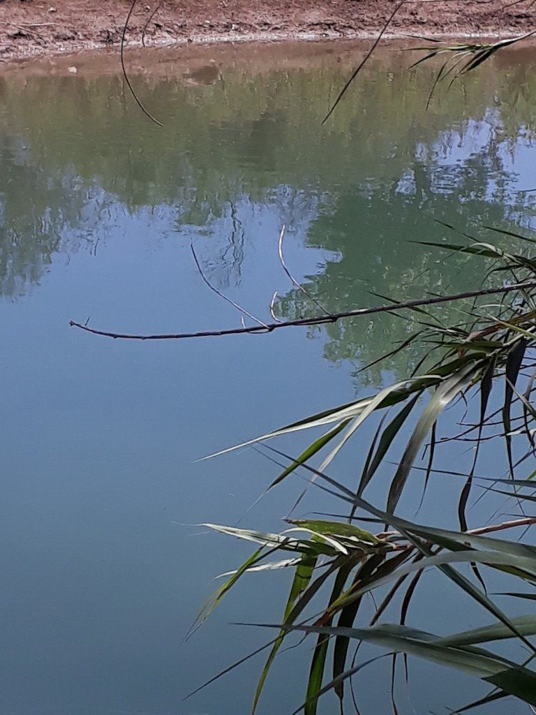 Земля в Ираклионе, Греция, 1 048 м² - фото 2