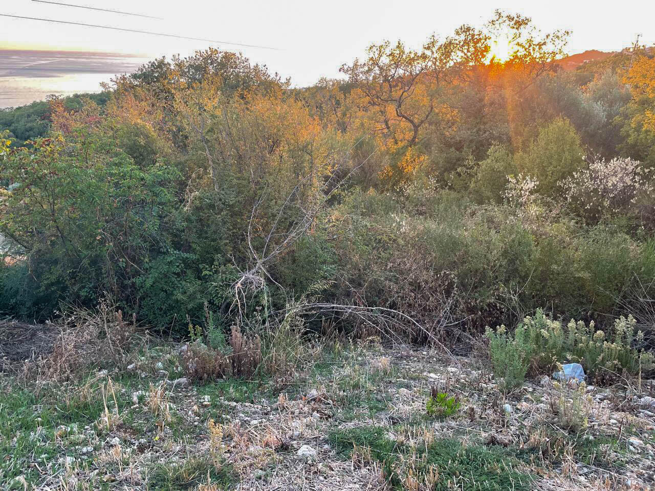 Земля в Шушани, Черногория, 1 160 м² - фото 2