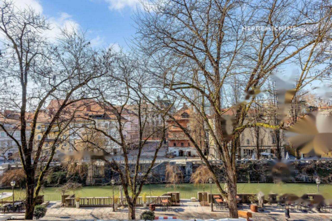 Квартира в Любляне, Словения, 205 м² - фото 3