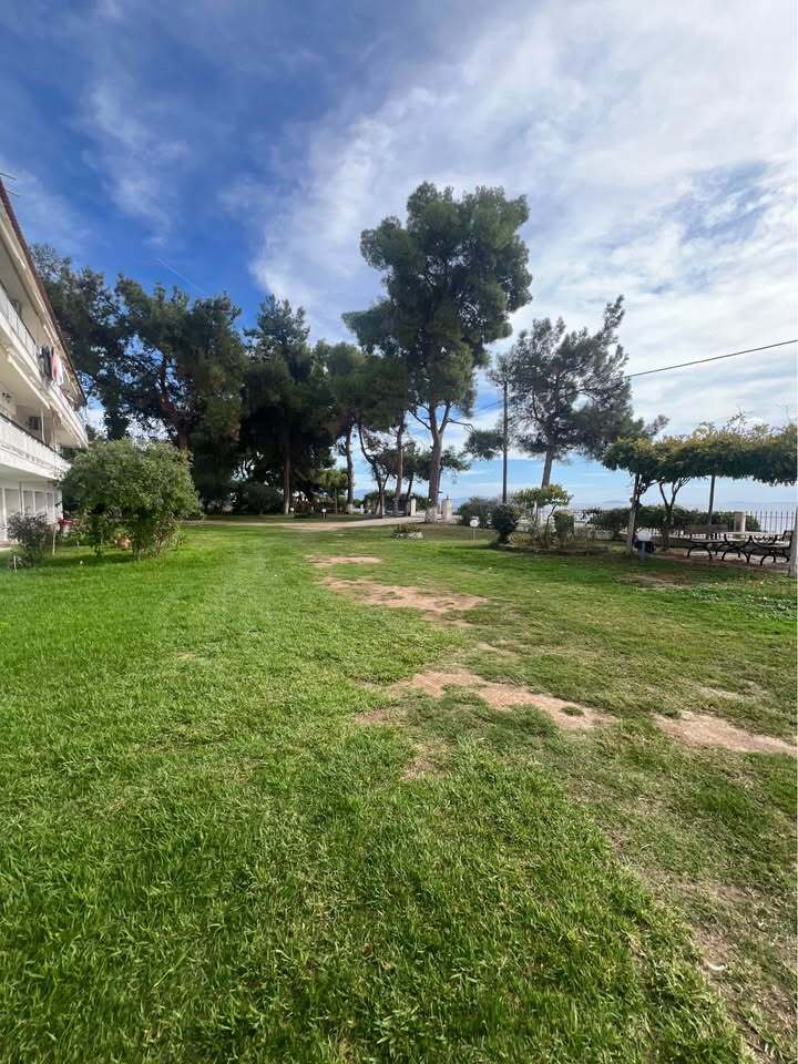 Квартира на Халкидиках, Греция, 58 м² - фото 7