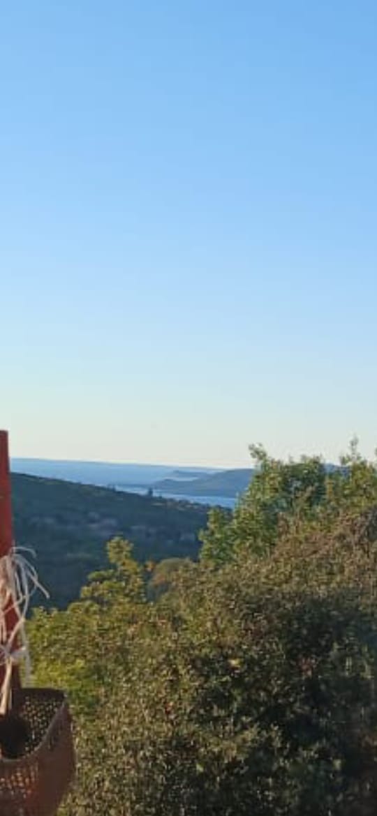 Земля в Кримовице, Черногория, 26 000 м² - фото 1