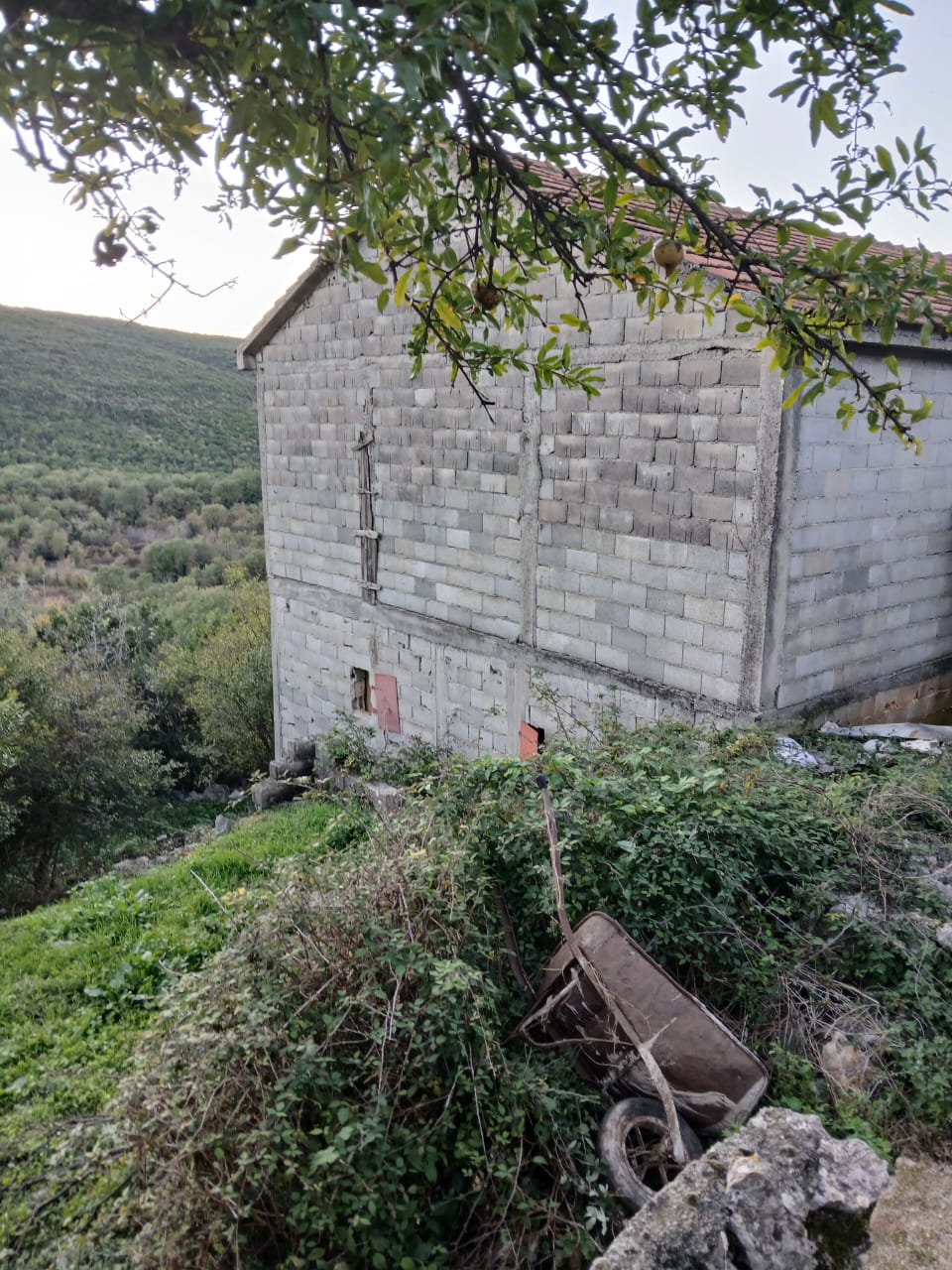 Земля в Кримовице, Черногория, 26 000 м² - фото 16