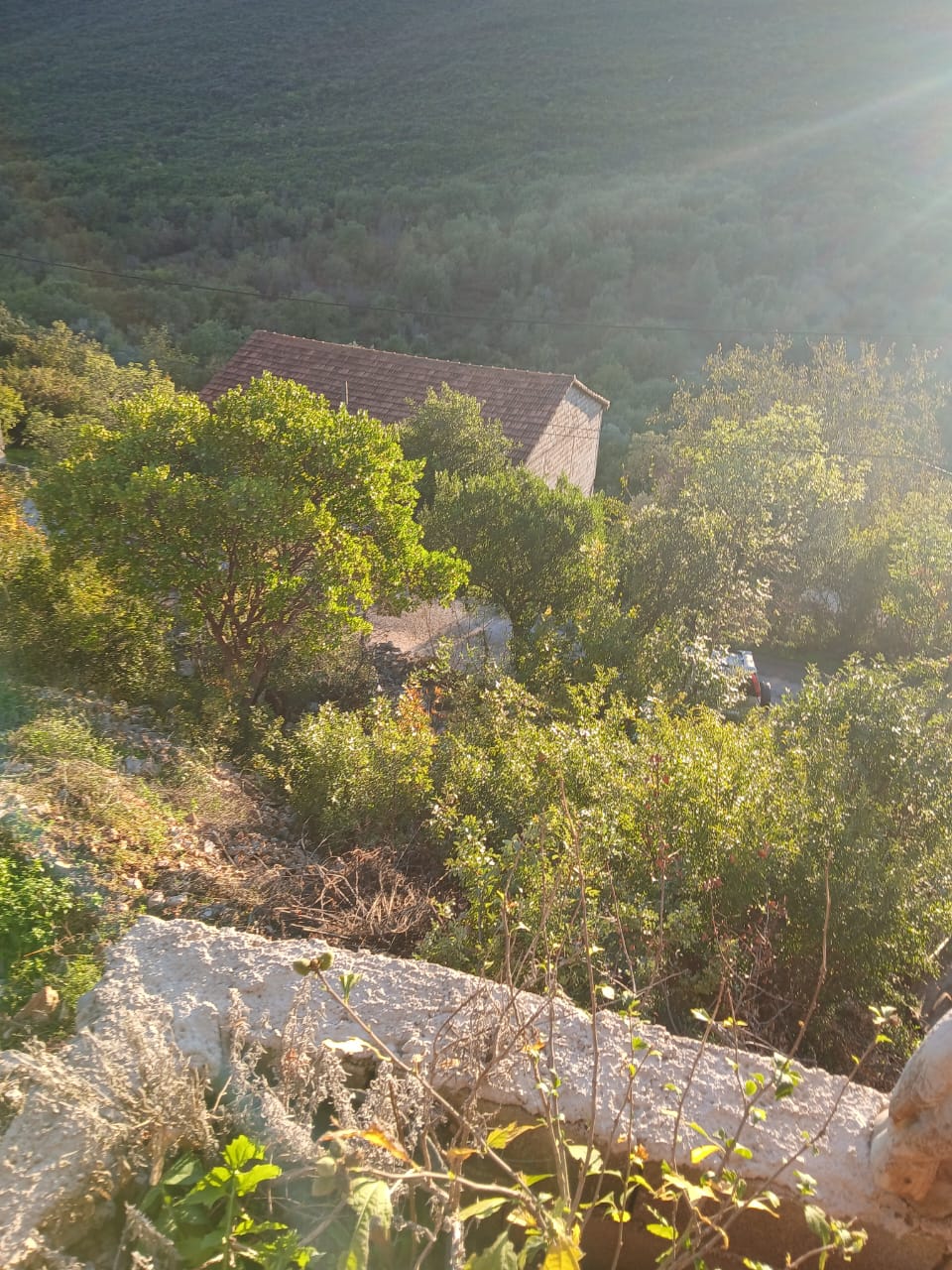 Земля в Кримовице, Черногория, 26 000 м² - фото 14