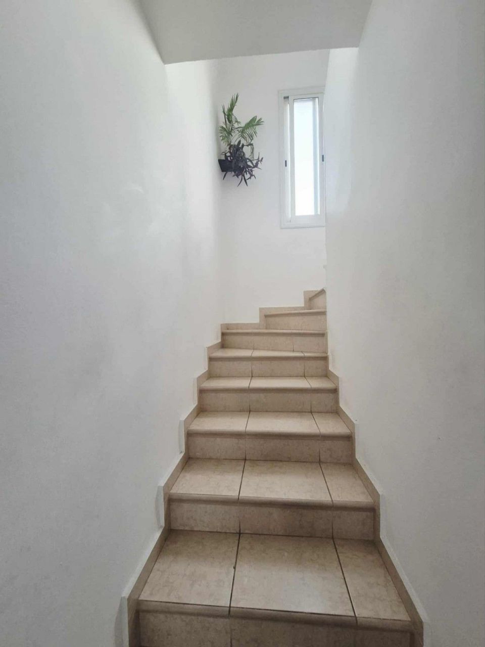 Вилла в Пафосе, Кипр - фото 12