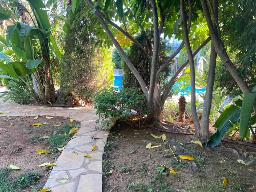 Вилла в Лимасоле, Кипр, 780 м² - фото 12