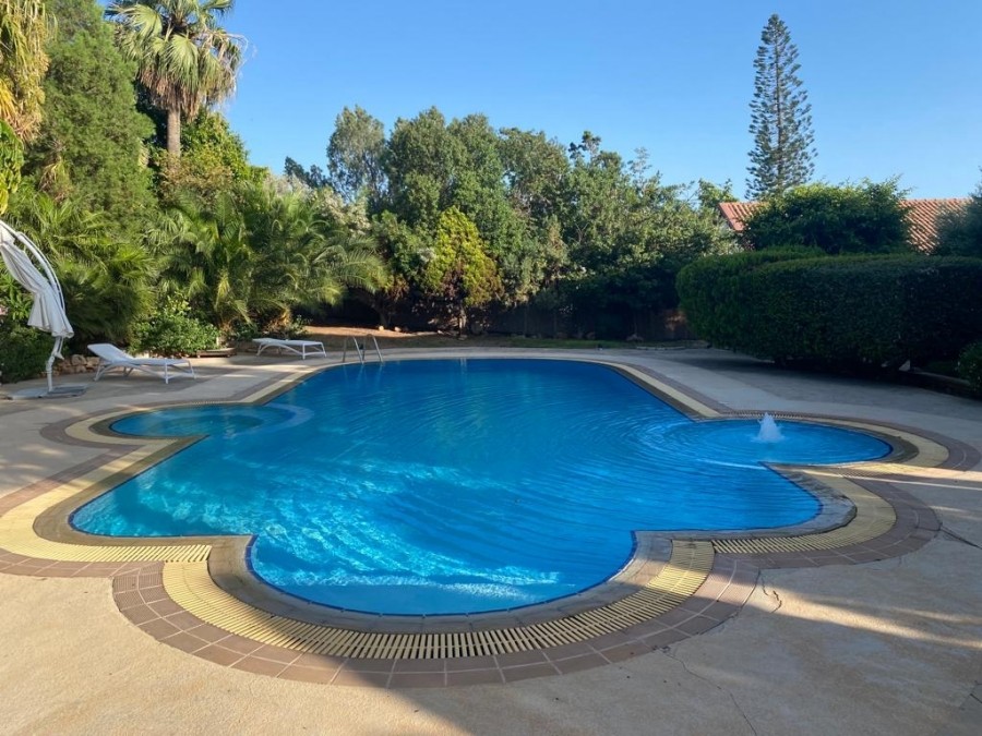 Вилла в Лимасоле, Кипр, 780 м² - фото 19