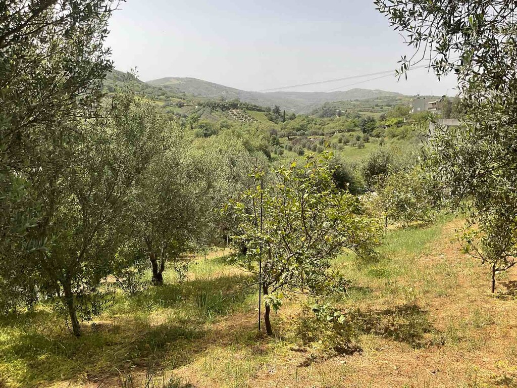 Дом в Ираклионе, Греция, 55 м² - фото 3