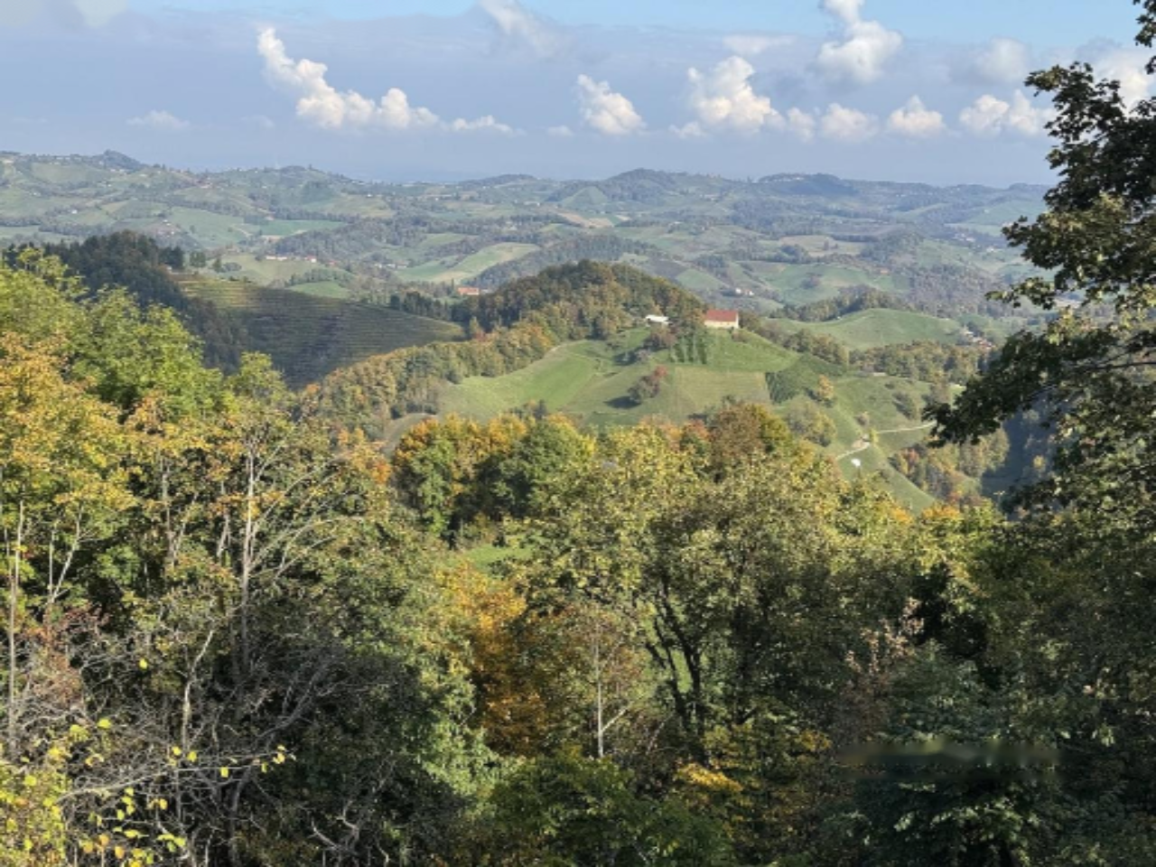 Ферма в Мариборе, Словения, 256 м² - фото 2