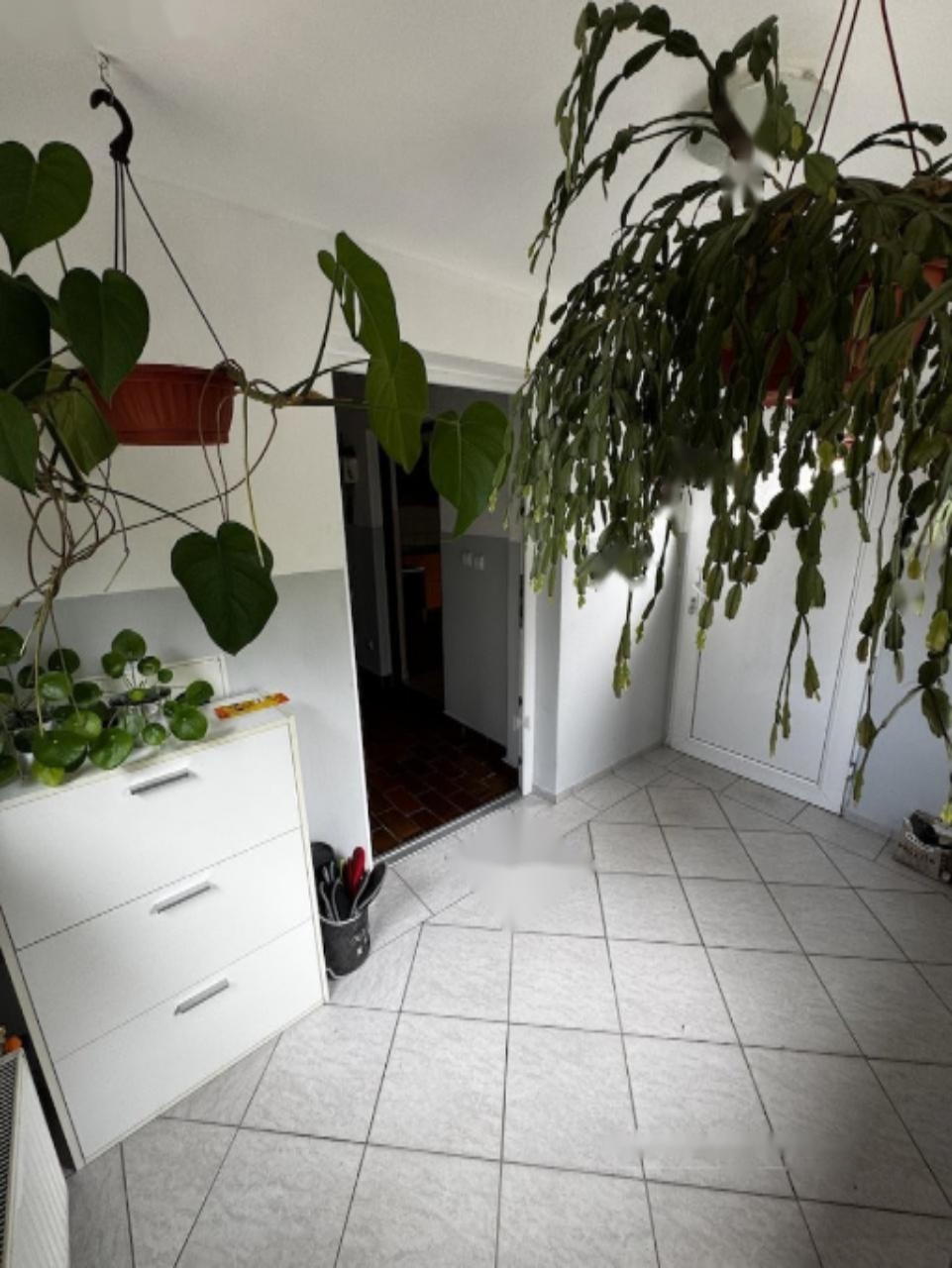 Ферма в Мариборе, Словения, 256 м² - фото 4