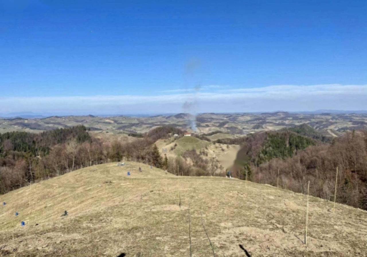 Ферма в Мариборе, Словения, 256 м² - фото 11