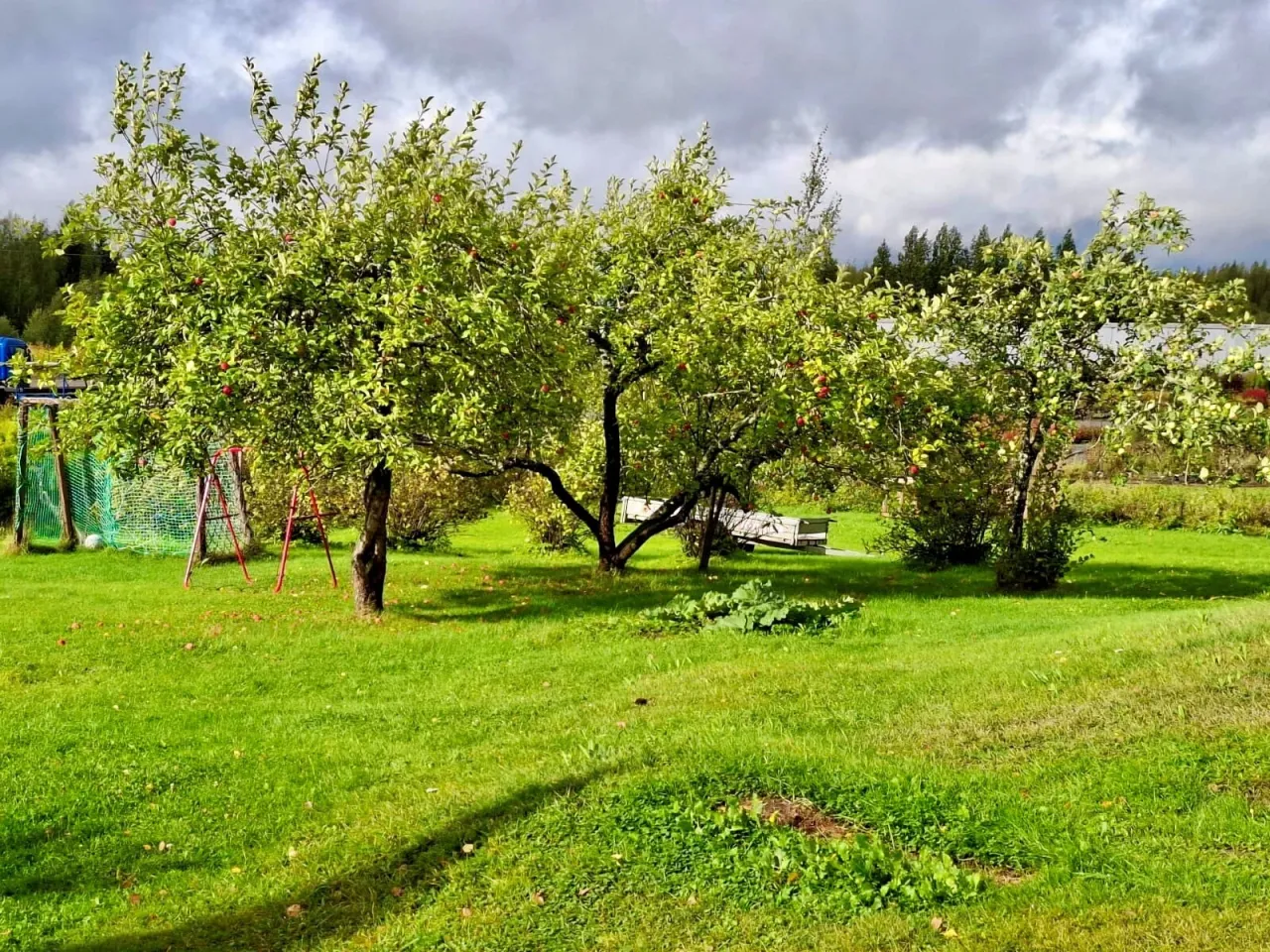 Дом в Йороинен, Финляндия, 130 м² - фото 12