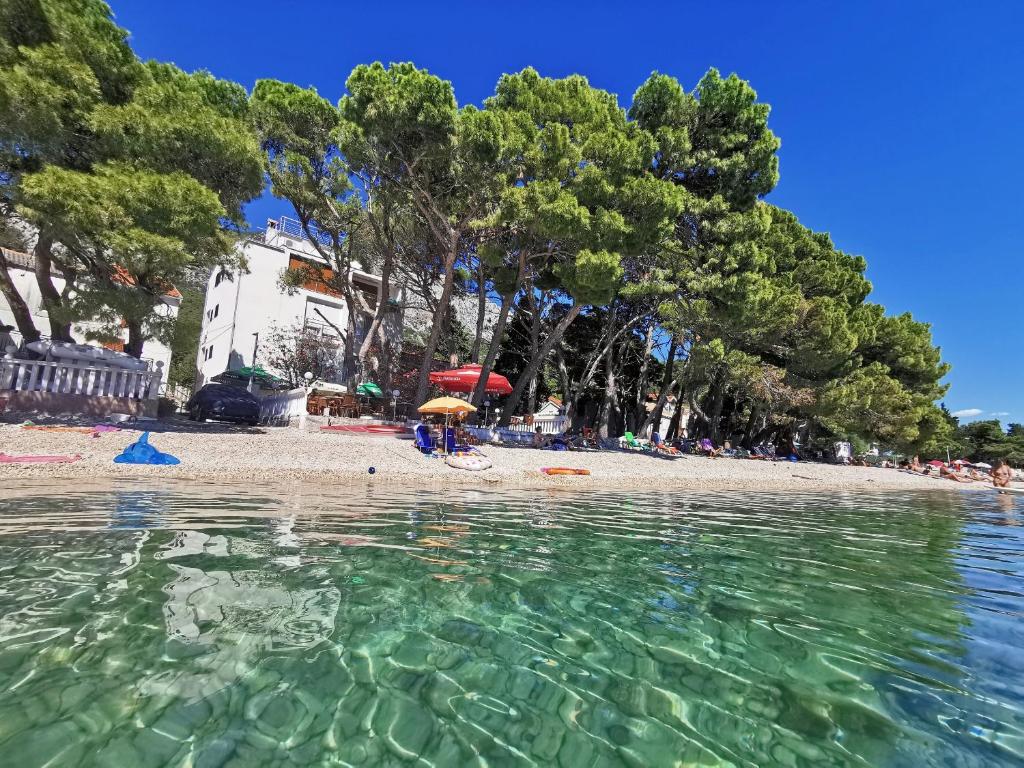 Отель, гостиница Živogošće, Хорватия, 533 м² - фото 2