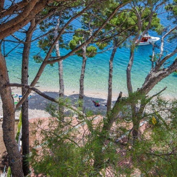 Отель, гостиница Živogošće, Хорватия, 533 м² - фото 10