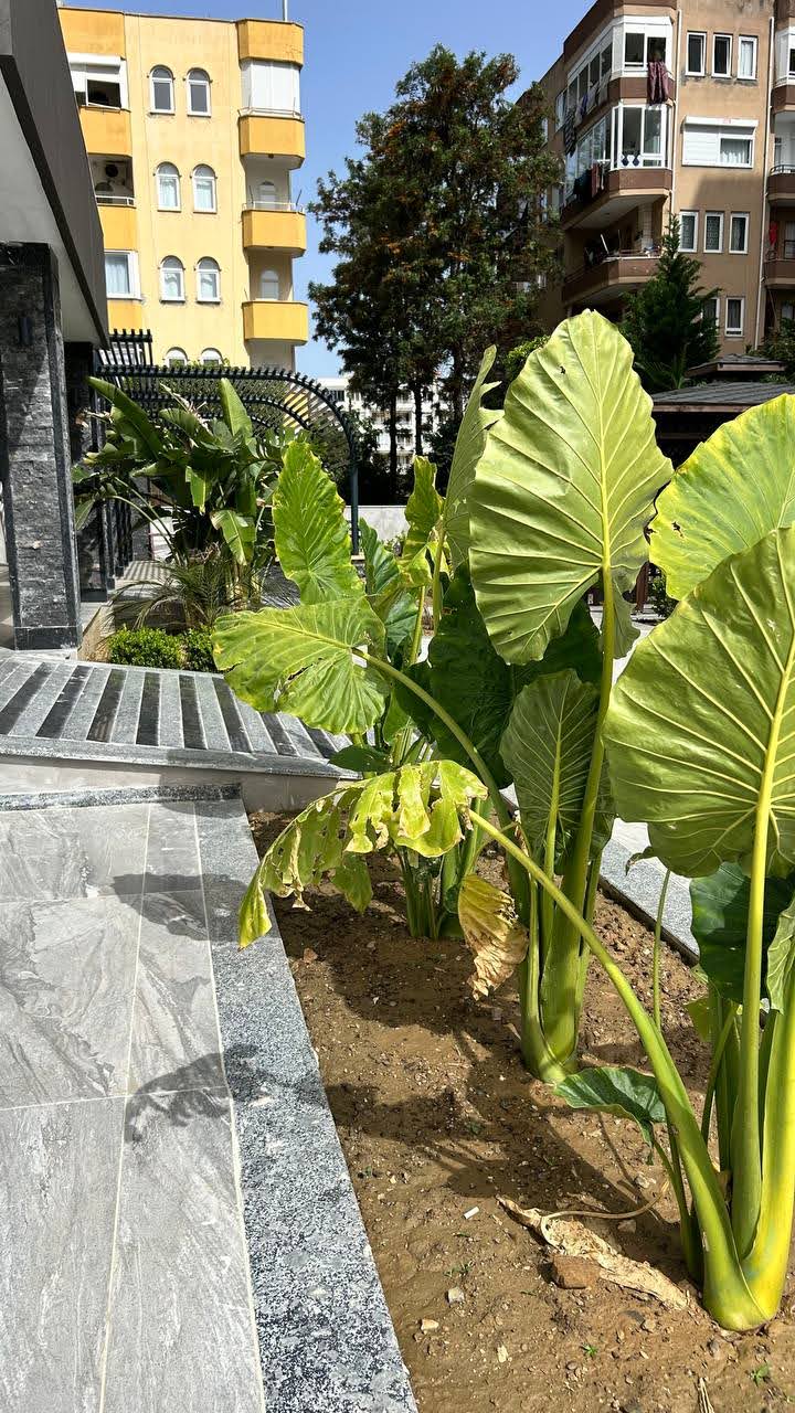 Апартаменты в Алании, Турция, 90 м² - фото 6