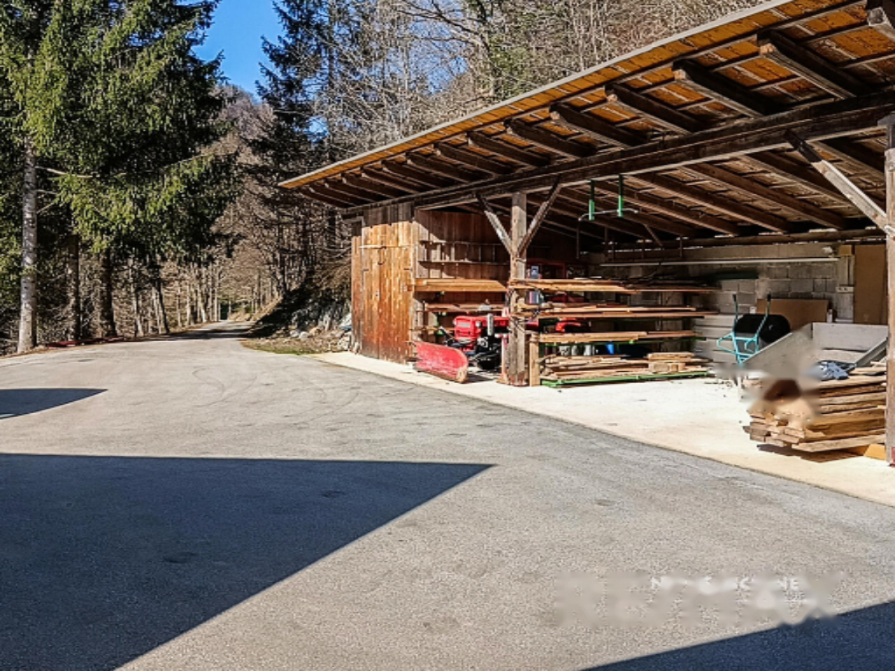 Ферма в Жировнице, Словения, 38 658 м² - фото 12