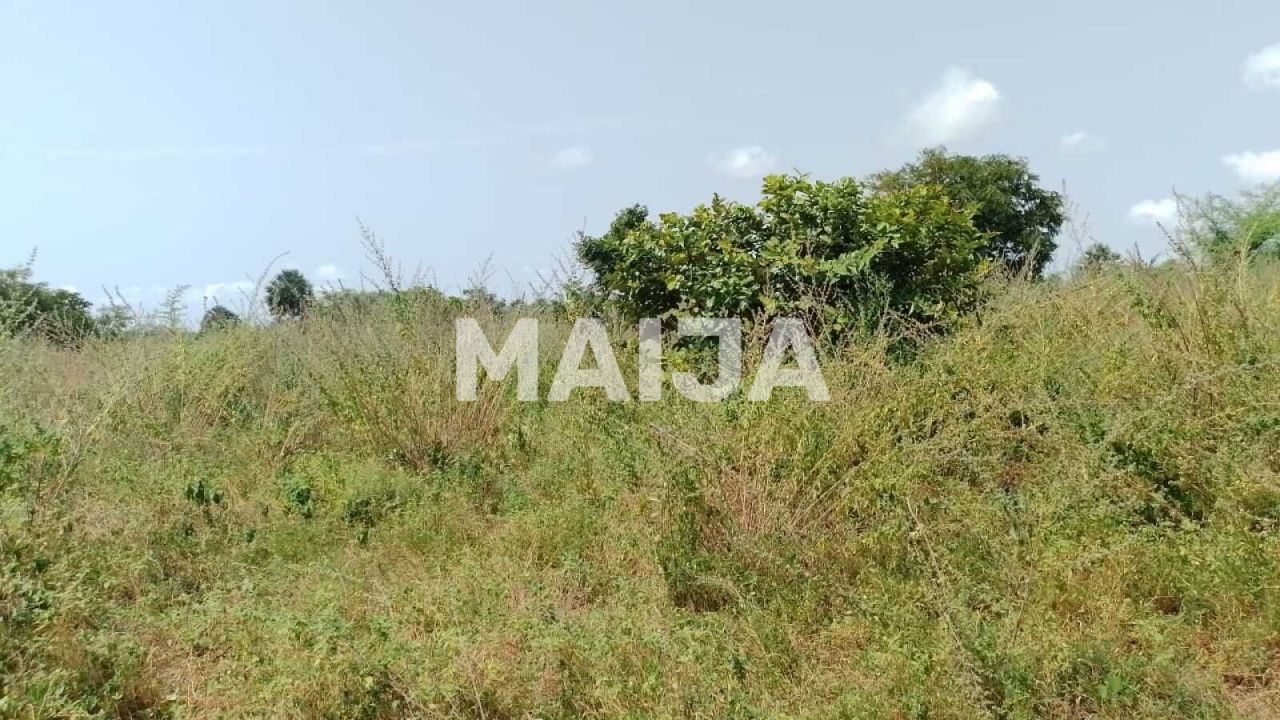 Земля Sanyang, Гамбия, 2 100 м² - фото 5