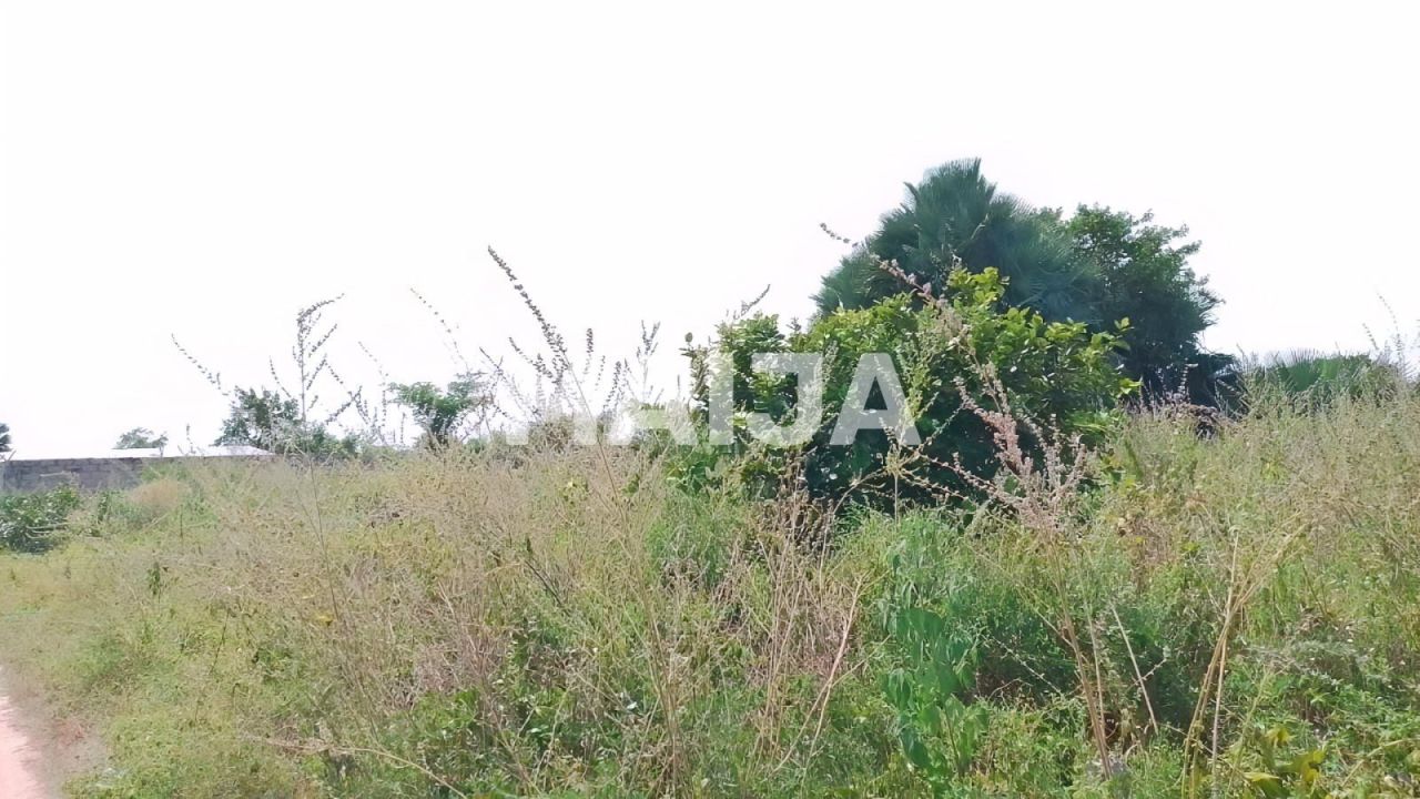 Земля Sanyang, Гамбия, 2 100 м² - фото 7