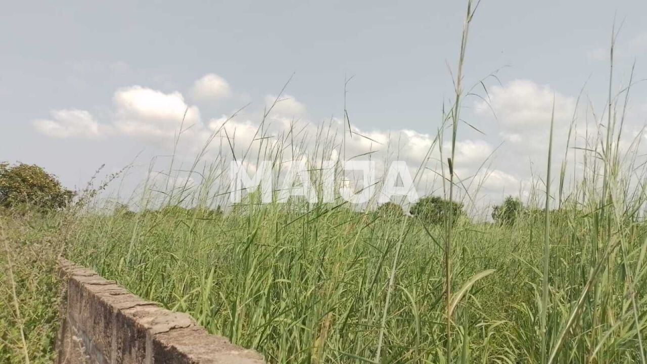 Земля Tujereng, Гамбия, 1 400 м² - фото 8