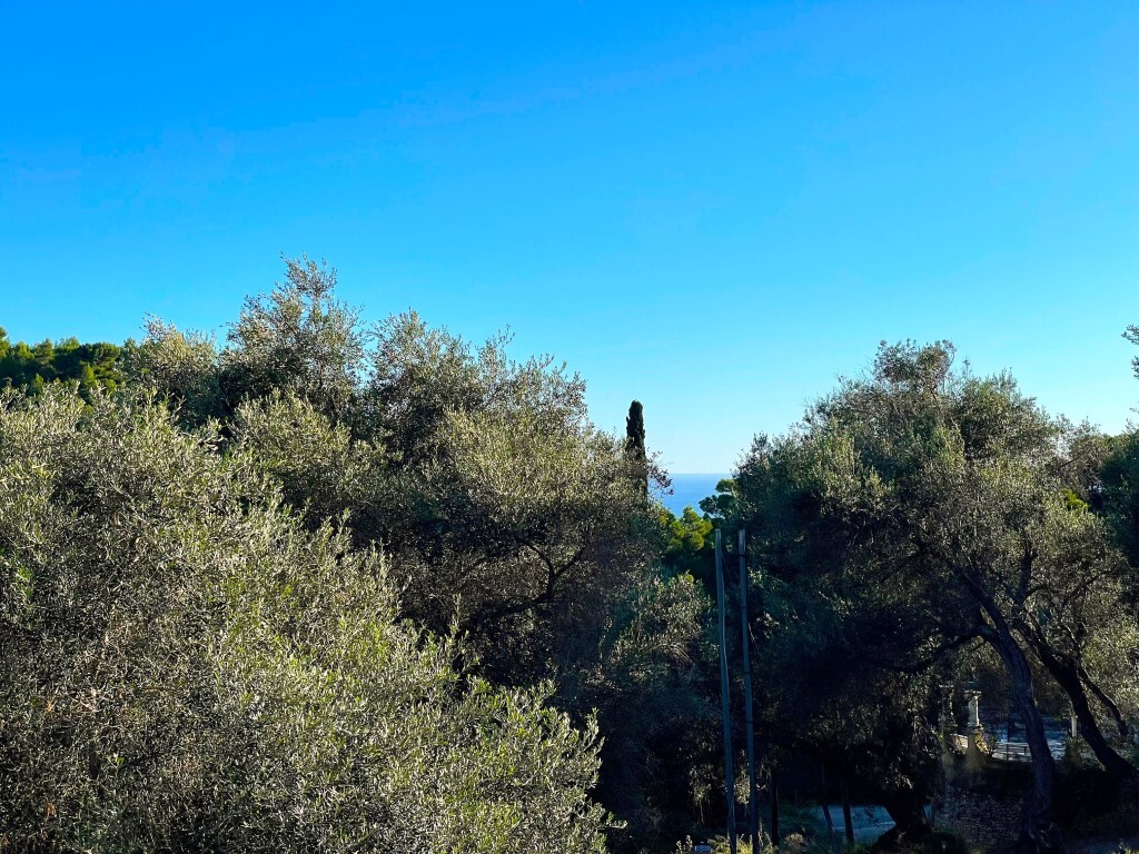 Дом на Корфу, Греция, 197 м² - фото 3