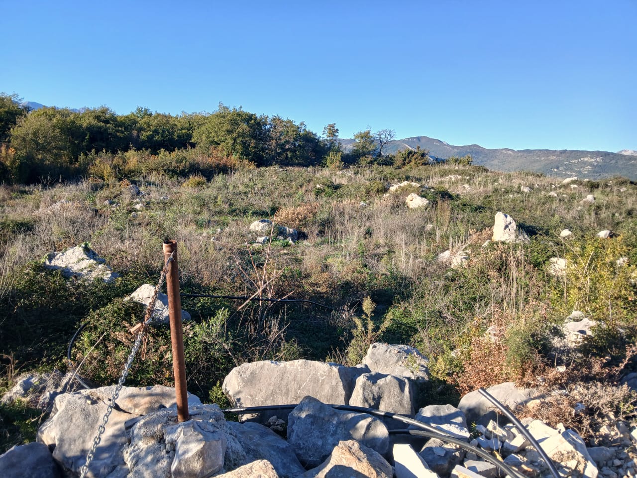 Земля в Лешевичах, Черногория, 2 593 сот. - фото 1