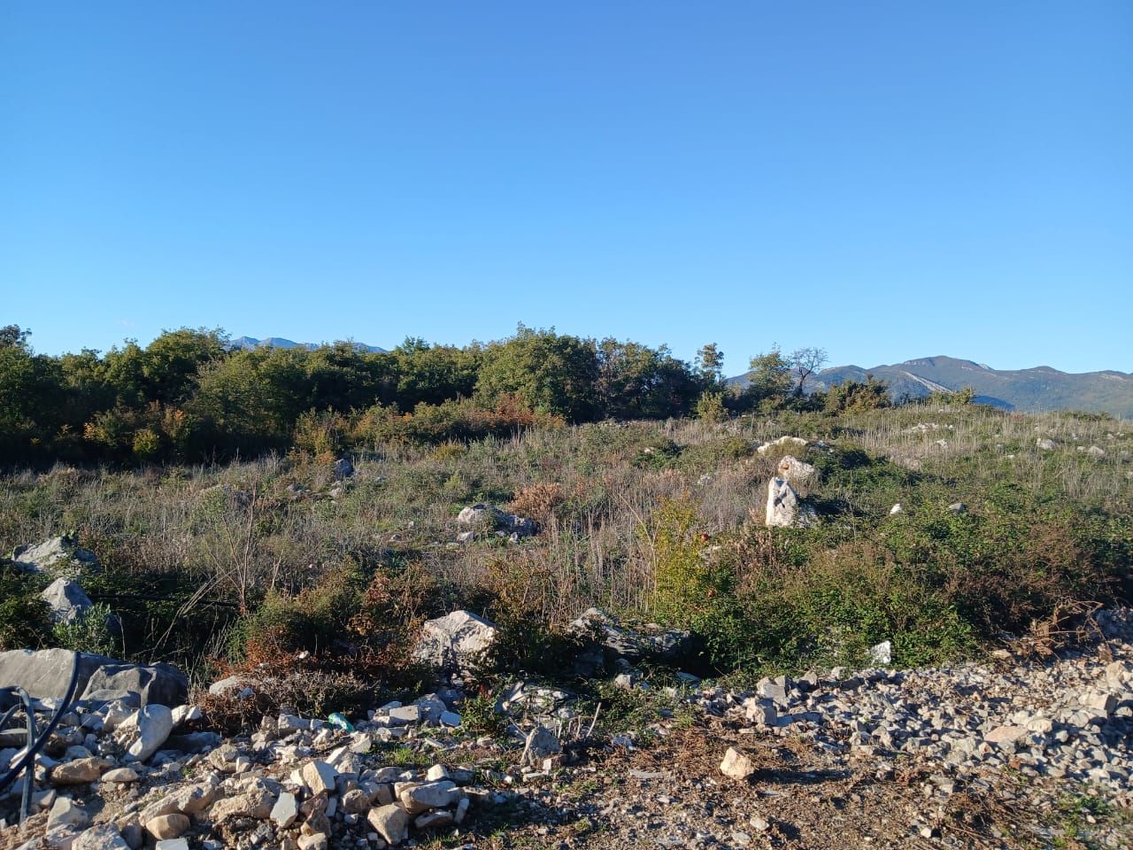 Земля в Лешевичах, Черногория, 2 593 сот. - фото 2