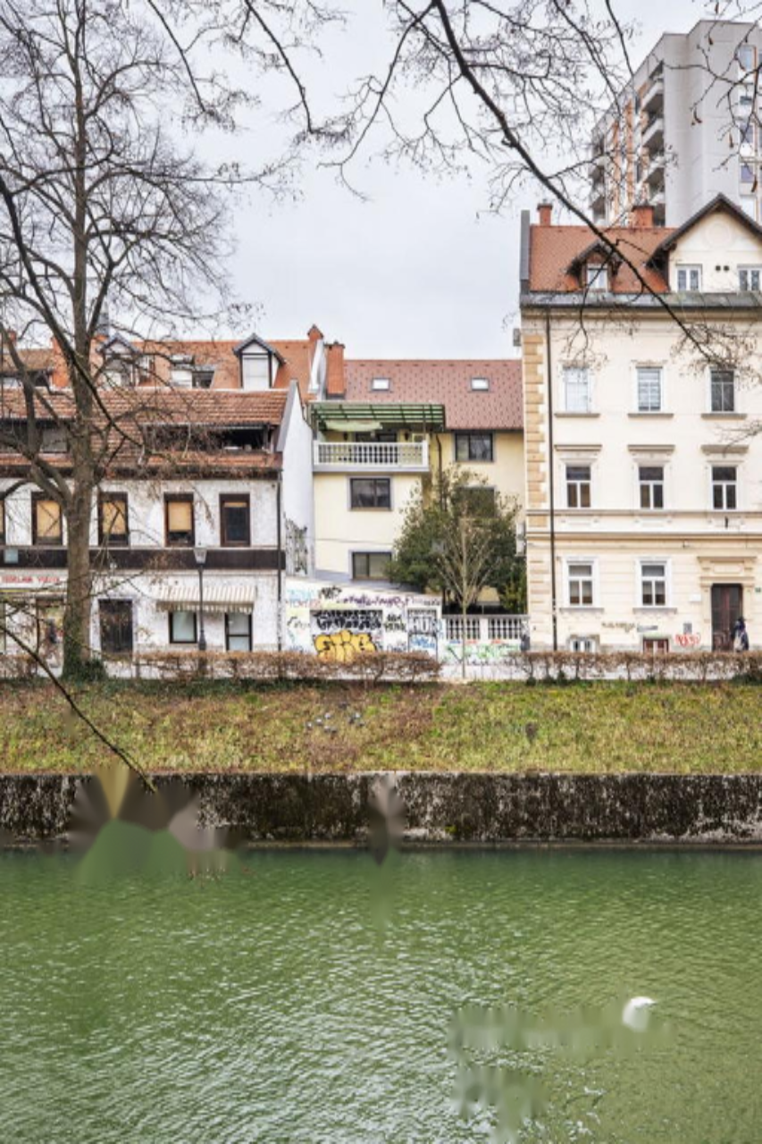 Дом в Любляне, Словения, 477 м² - фото 3