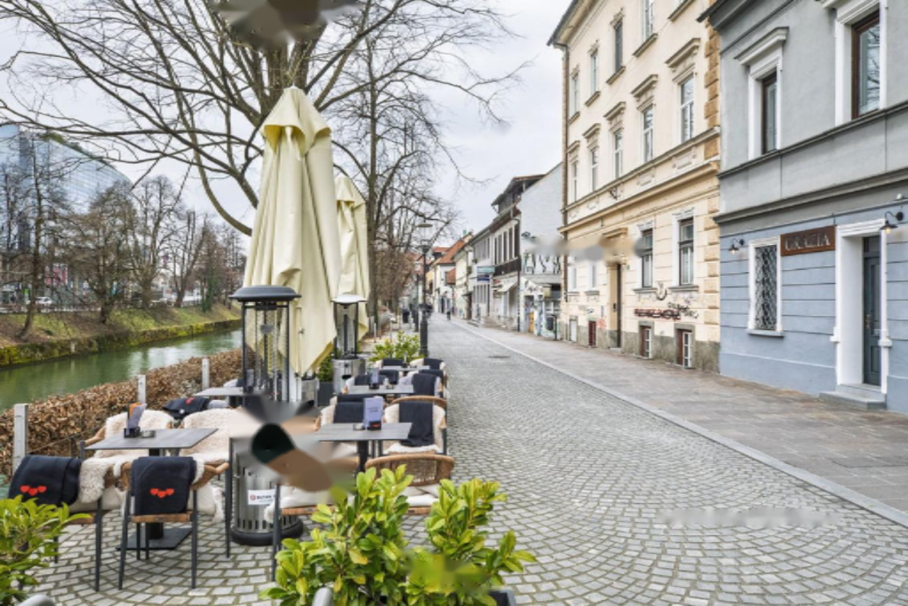 Дом в Любляне, Словения, 477 м² - фото 4