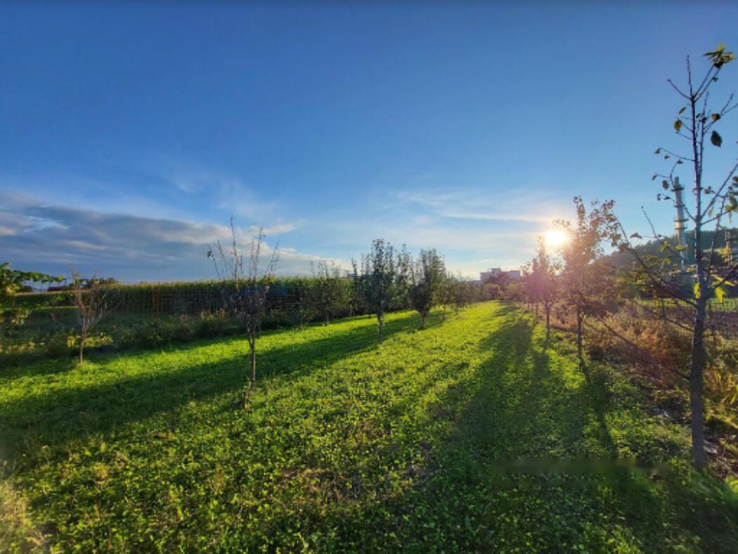 Дом в Любляне, Словения, 253 м² - фото 4