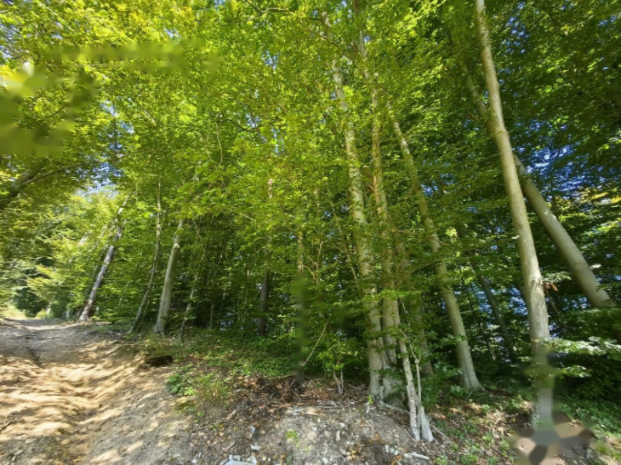 Дом в Любляне, Словения, 289 м² - фото 5