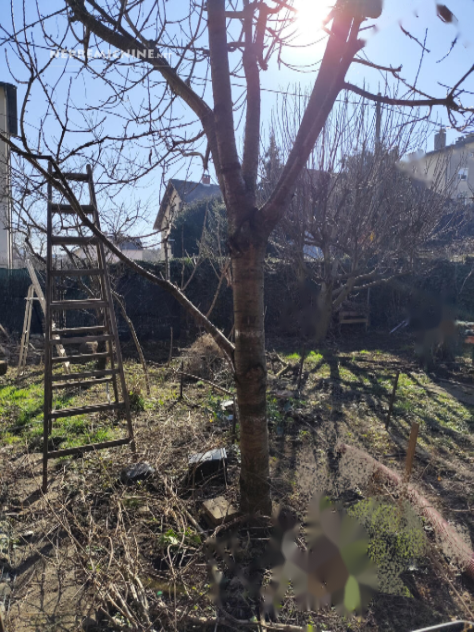 Дом в Любляне, Словения, 258 м² - фото 5