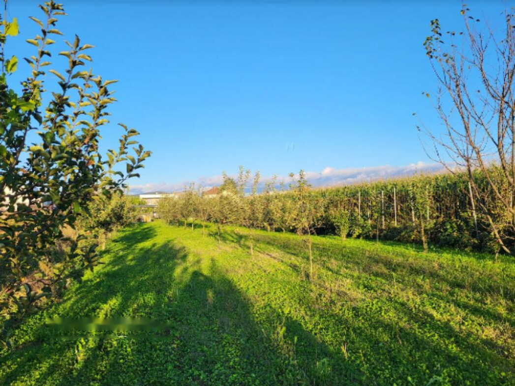 Дом в Любляне, Словения, 253 м² - фото 5