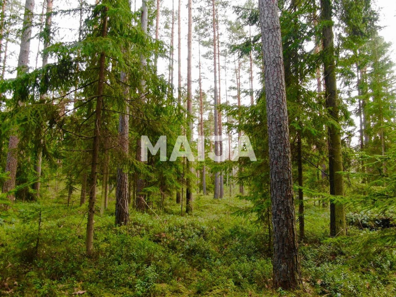 Земля Скулте, Латвия, 4 017 м² - фото 3