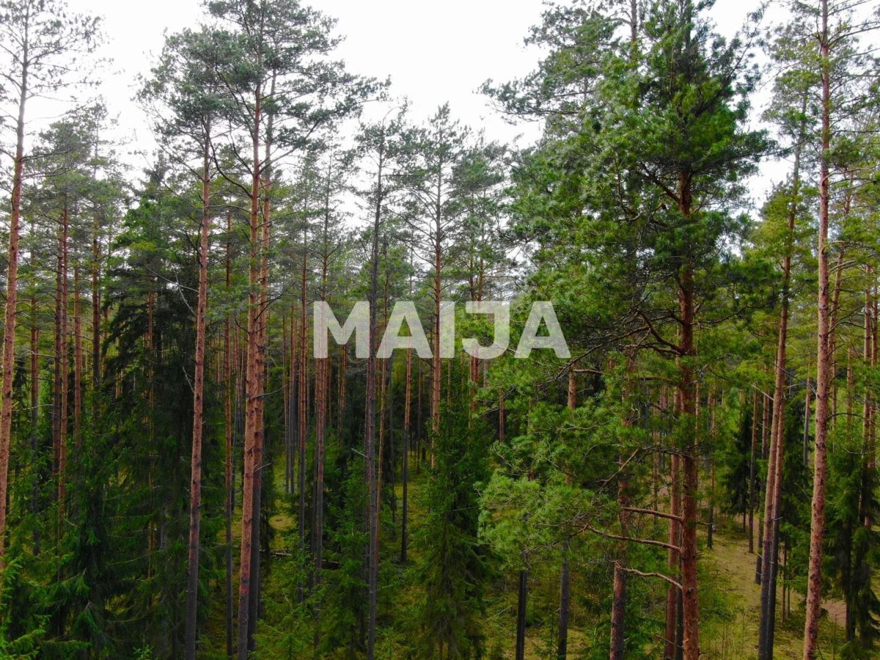 Земля Скулте, Латвия, 4 017 м² - фото 4