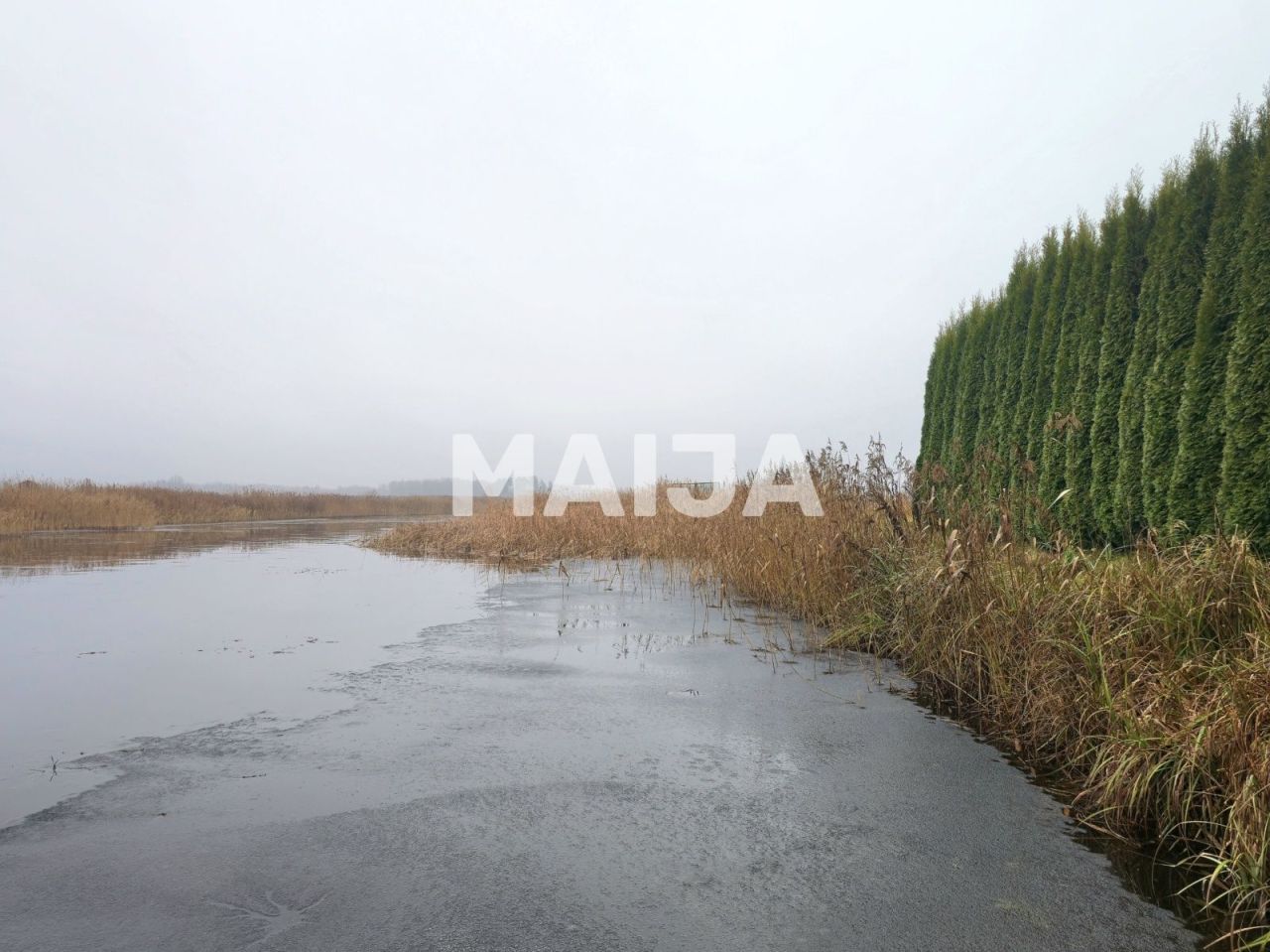 Земля Stelpe, Латвия, 53 230 000 м² - фото 12