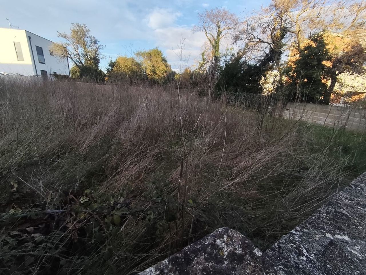 Вилла в Ровини, Хорватия, 767 м² - фото 3