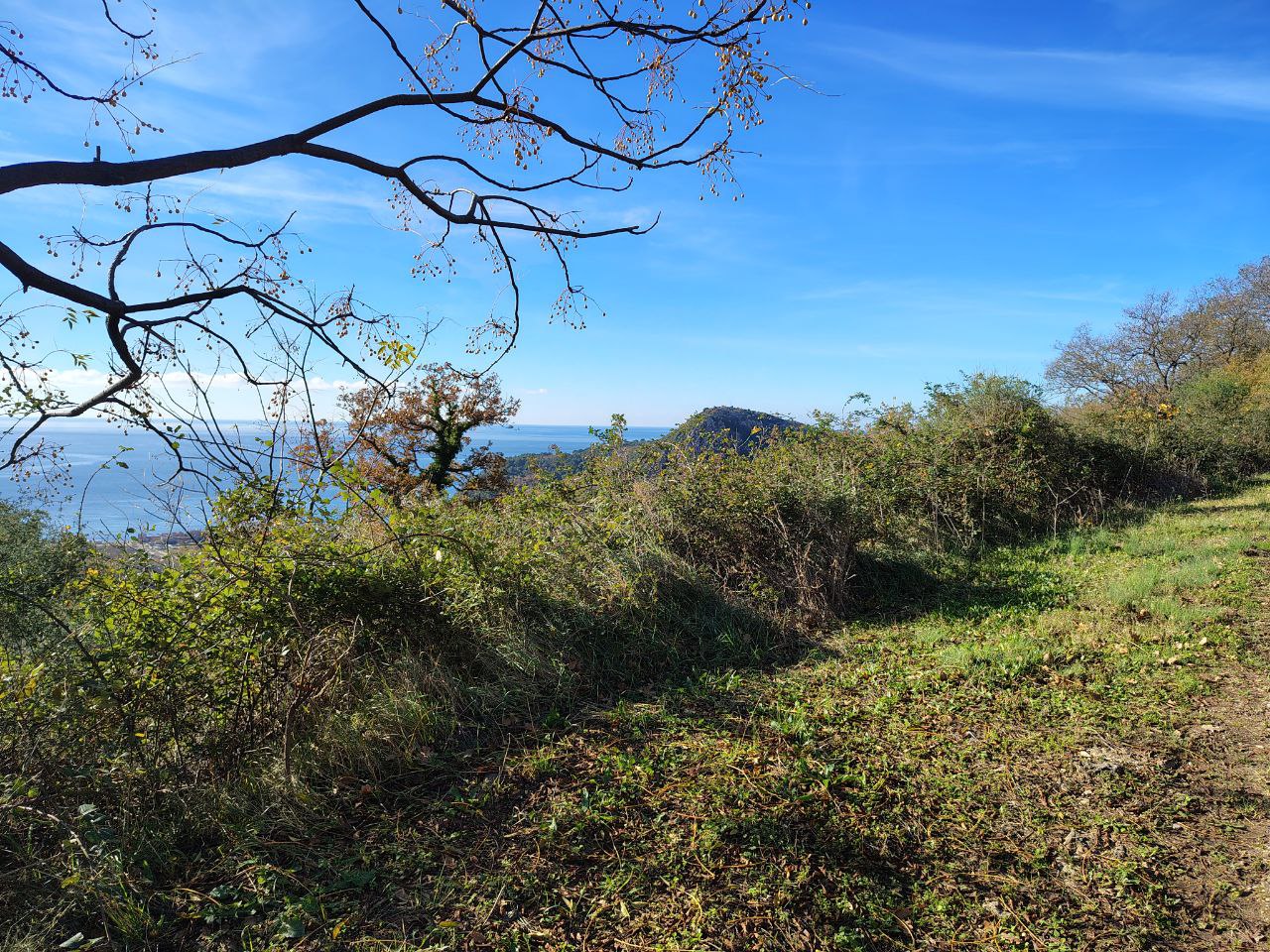 Земля в Булярице, Черногория, 5 000 м² - фото 6