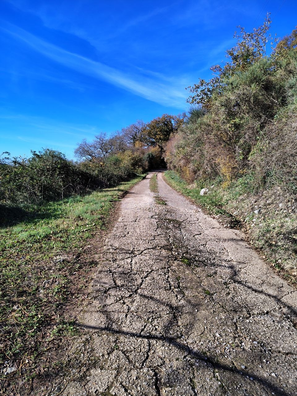 Земля в Булярице, Черногория, 5 000 м² - фото 7