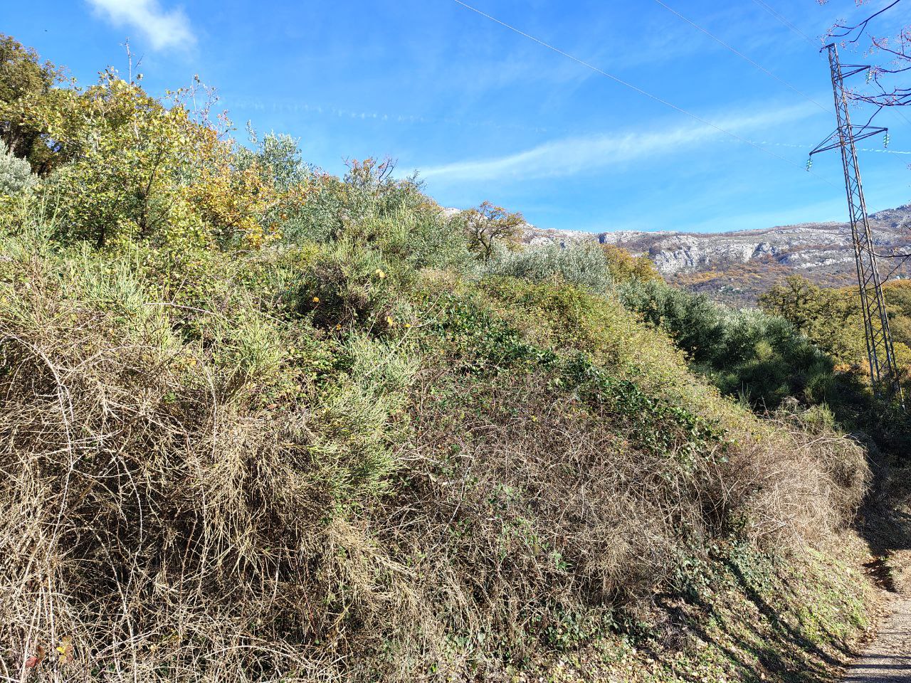 Земля в Булярице, Черногория, 5 000 м² - фото 9