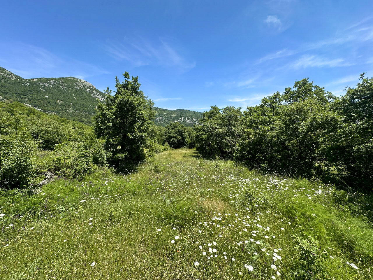 Земля в Добра Воде, Черногория, 4 196 м² - фото 2