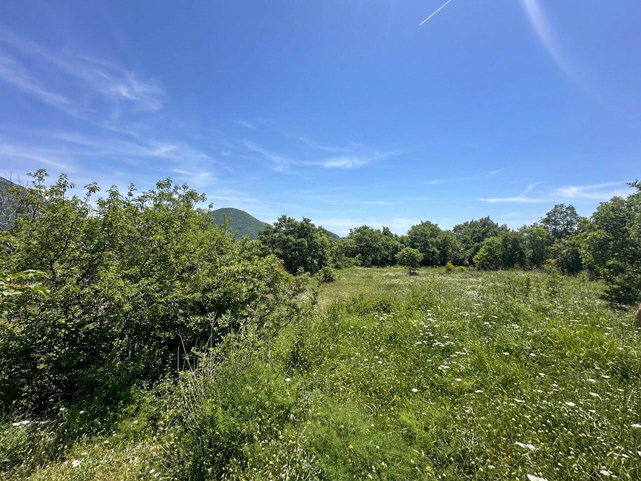 Земля в Добра Воде, Черногория, 4 196 м² - фото 4