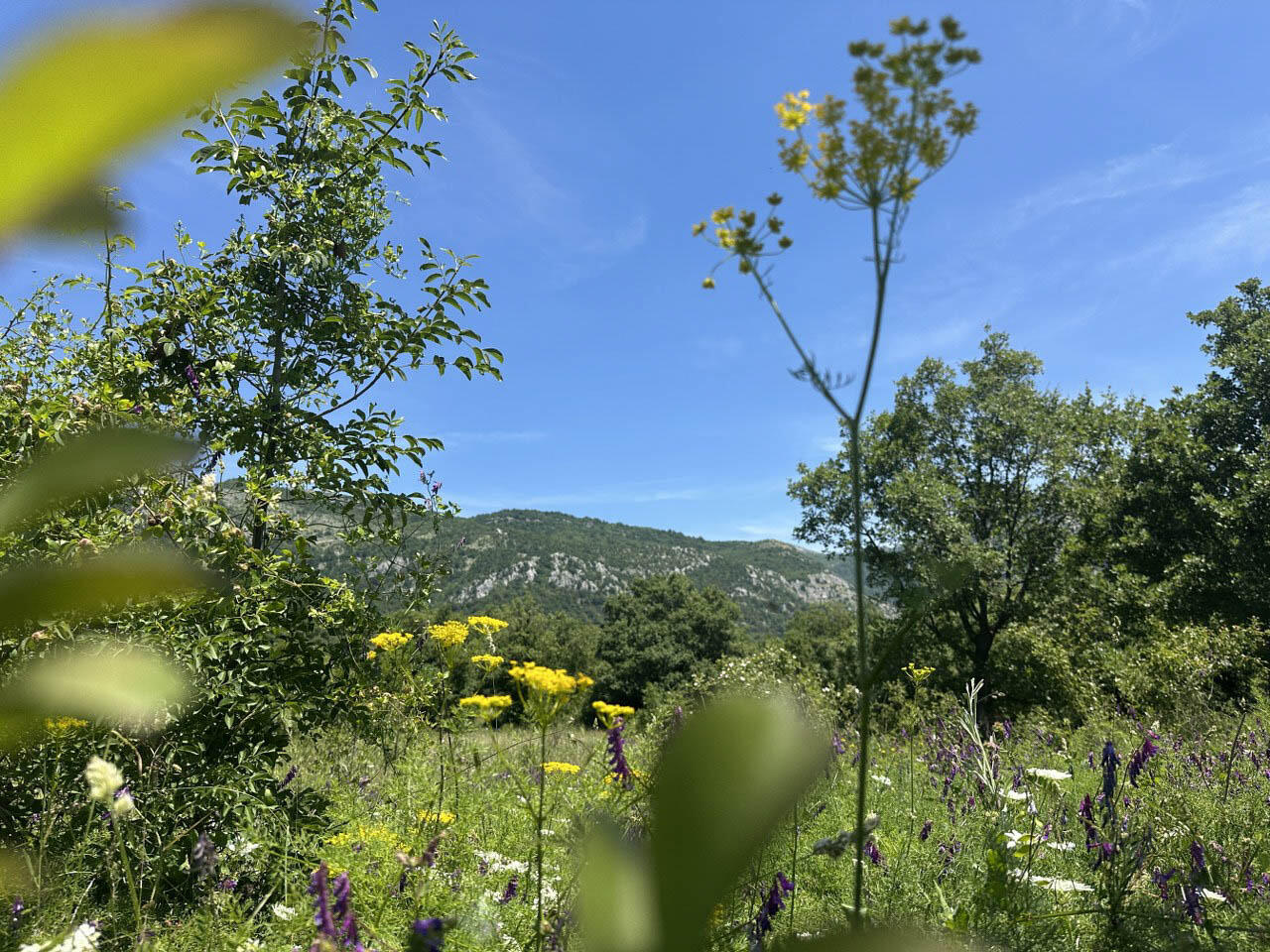 Земля в Добра Воде, Черногория, 4 196 м² - фото 6